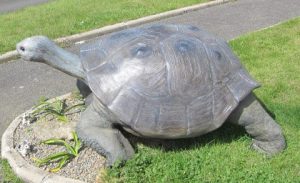 sculpture grosse tortue